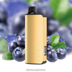 Alibarbar Flavours - Blueberry Blast RN4H6T15 Alibarbar Ingot 9000 Disposable Vape
