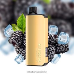 Alibarbar Nicotine Vape - Blackberry Ice RN4H6T30 Alibarbar Ingot 9000 Disposable Vape