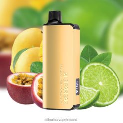 Alibarbar Nicotine Vape - Passionfruit Mango Lime RN4H6T22 Alibarbar Ingot 9000 Disposable Vape