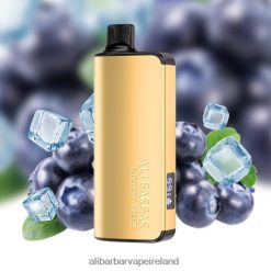 Alibarbar Puffs - Blueberry Breeze RN4H6T32 Alibarbar Ingot 20000 Disposable Vape