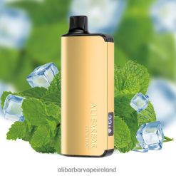 Alibarbar Vape Ireland - Cool Mint RN4H6T35 Alibarbar Ingot 20000 Disposable Vape