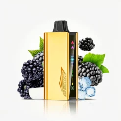 JNR CRUISER 12000 3500mAh Disposable Vape - Blackberry Ice