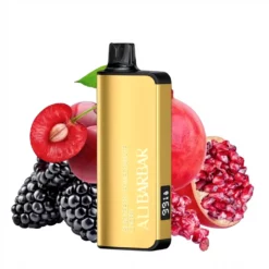 Blackberry Pomegranate Cherry 9K Disposable Vape – Leak-Proof