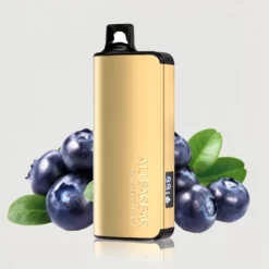 Alibarbar Ingot 9000 Blueberry Blast Disposable Vape