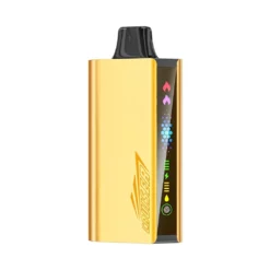 JNR Cruiser 12000 Puffs No-Charge 25ml Mesh Disposable Vape