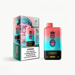 BANG KING 50000 Puff Rechargeable Disposable Vape DSK042
